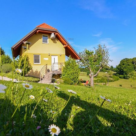 Apartments Vinska Trta Catez ob Savi Exteriér fotografie