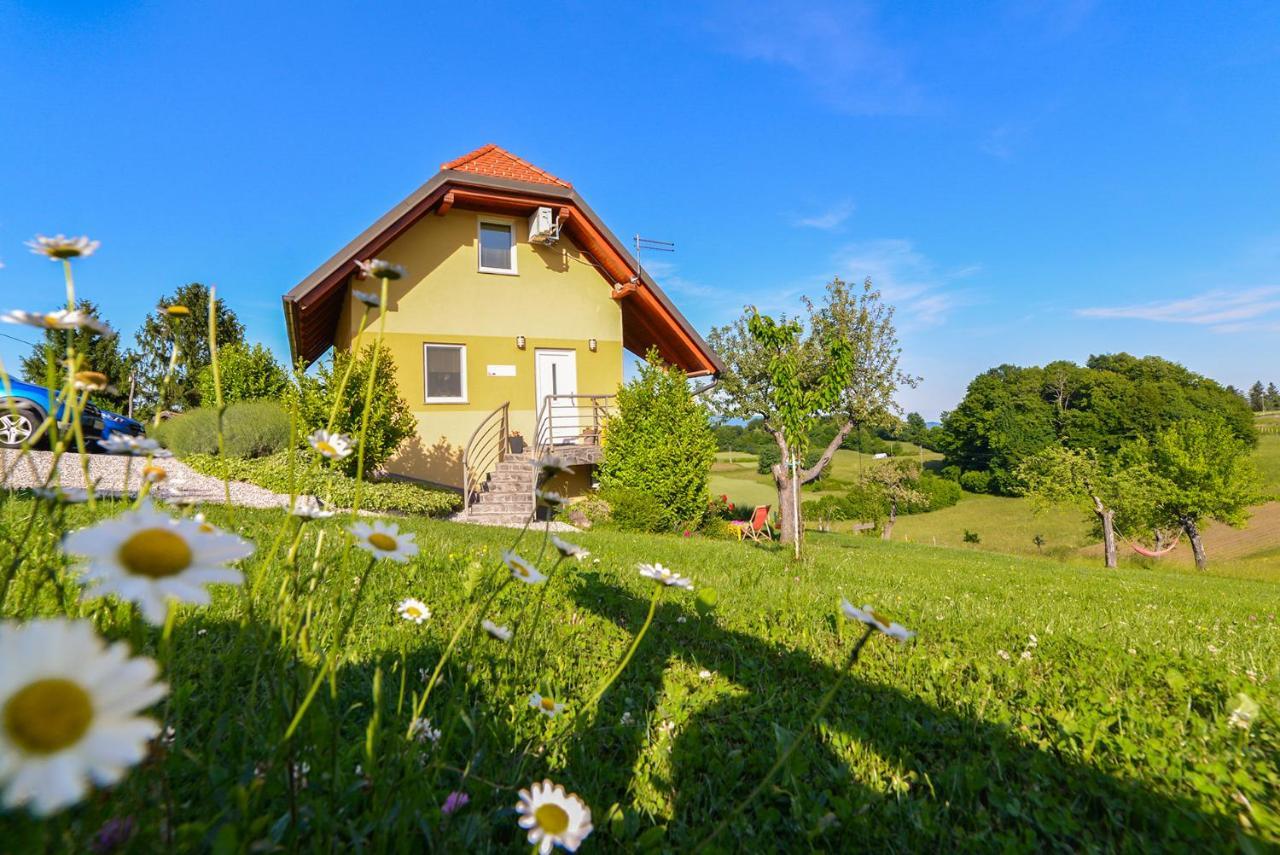 Apartments Vinska Trta Catez ob Savi Exteriér fotografie